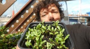 LUZERNE-e1457346176143