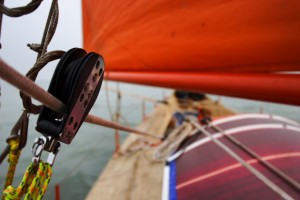 4374303627_ac14271671_o