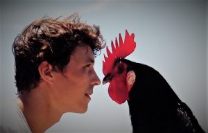 pt-commun-poules-tuné