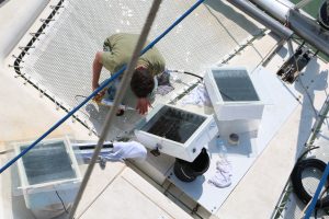 nomade-des-mers-agadir-bricolage-dessal-pont-pa-cc-corentin-de-chatelperron_31561200053_o