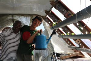 nomade-des-mers-cap-vert-serre-exterieure-sergio-et-coco-cc-elaine-le-floch_32025909050_o