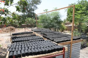 nomade-des-mers-toubacouta-charbon-vert-nebeday-cc-elaine-le-floch_31570935683_o